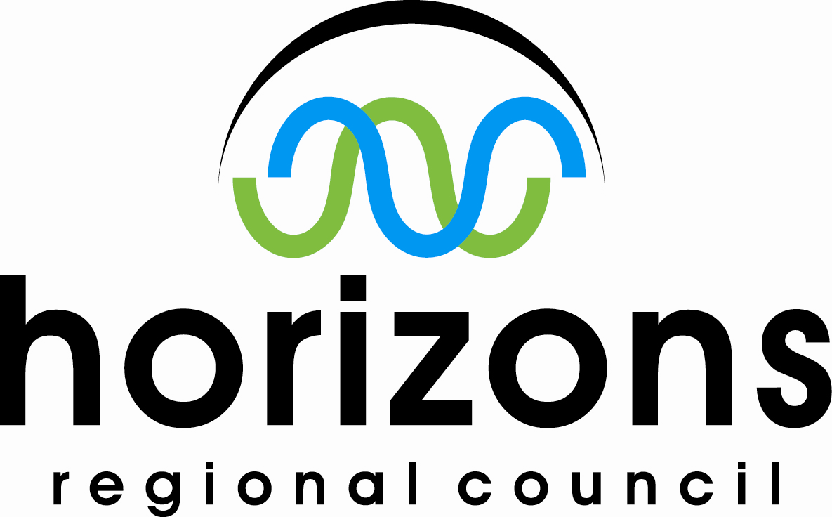 Council logo