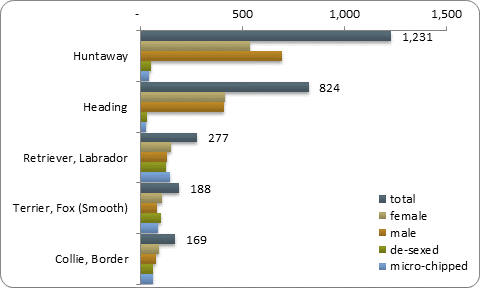 D2b top five pure breeds D2b top five pure breeds