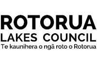 Council logo