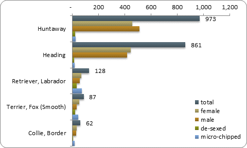 D2b top five pure breeds D2b top five pure breeds